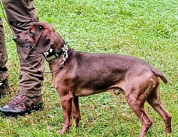 IMG 20250927 0824082 S